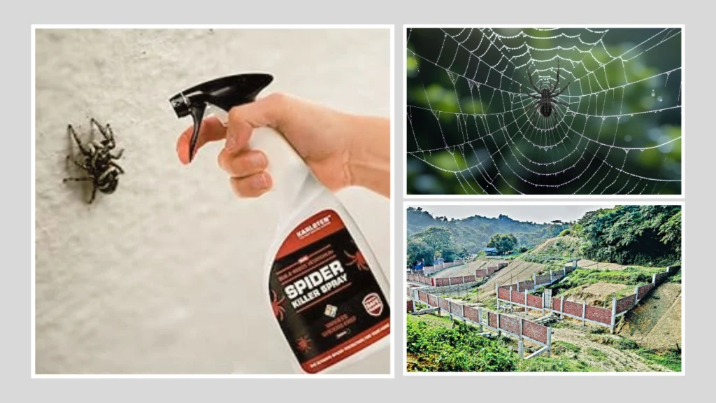 Are There Any Potential Threats