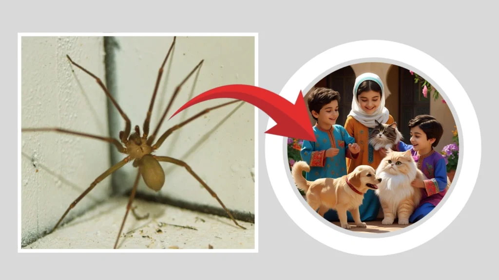 Are They Dangerous to Pets and Children