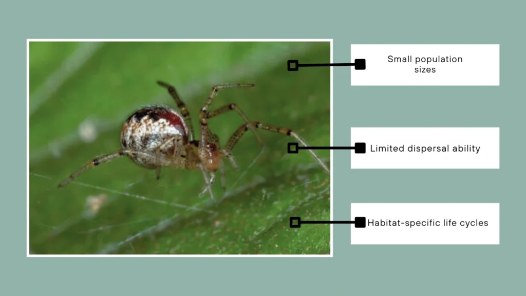 Do Any Species Need Protection