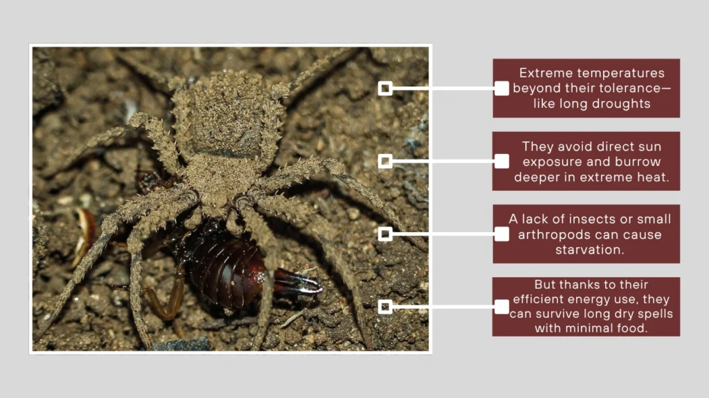 Environmental Factors That Affect Lifespan