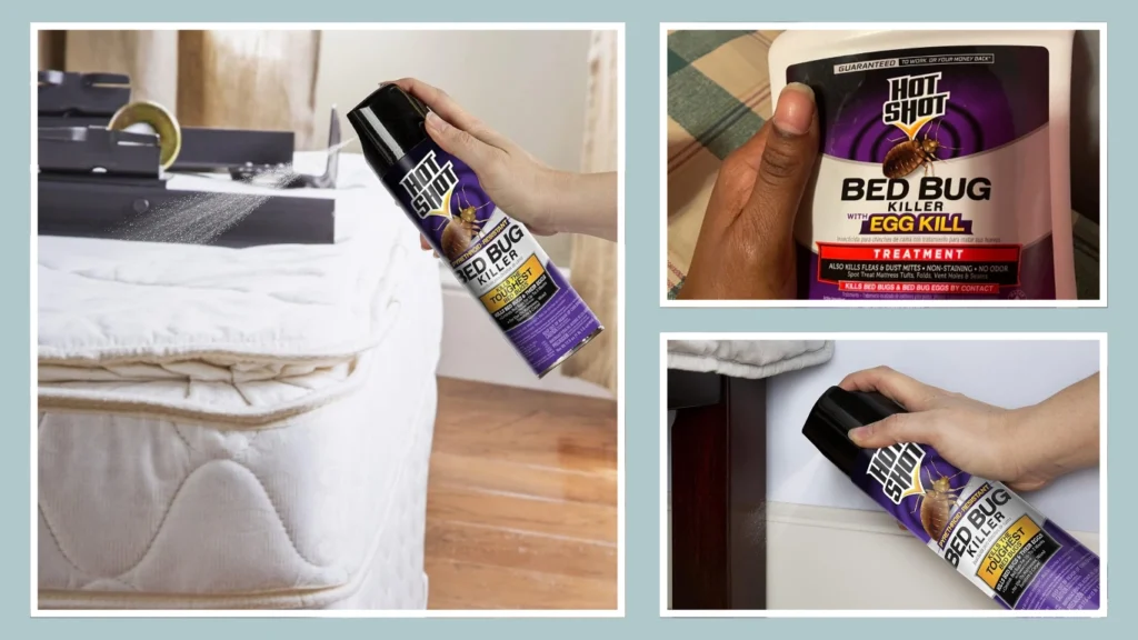 Hot Shot Bed Bug Killer Aerosol (17.5 oz)