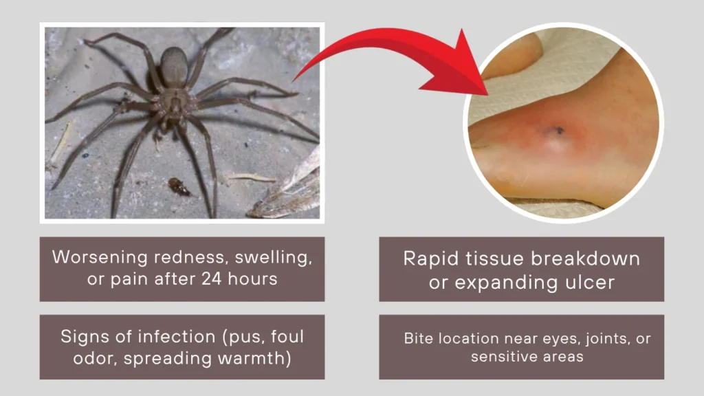 When to Seek Medical Help