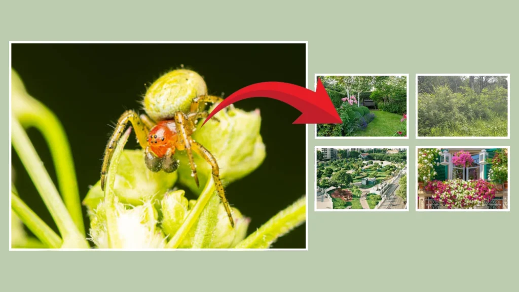 Where Can You Find It