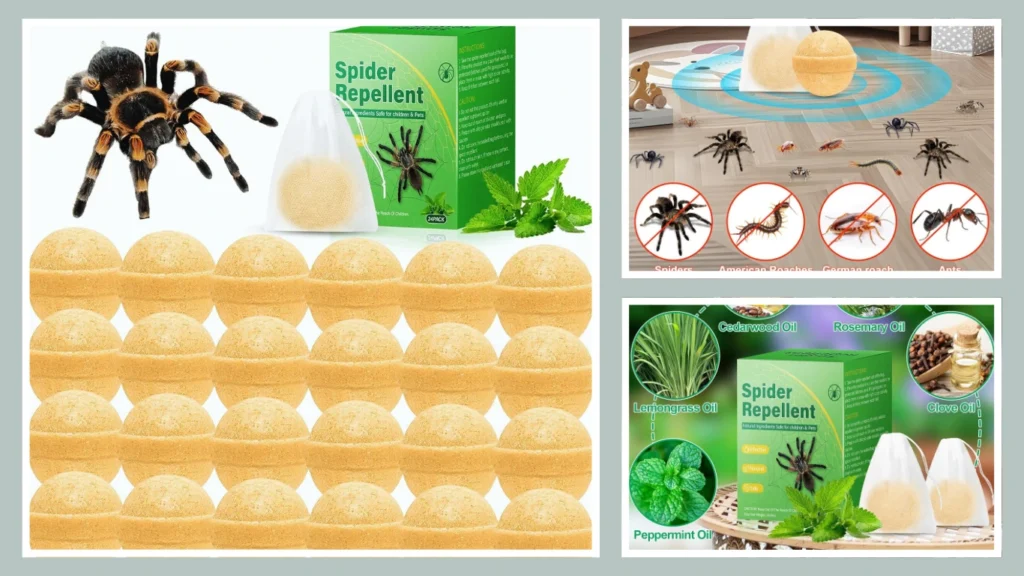 Concentrated Spider Repellent Solution – Peppermint Blend
