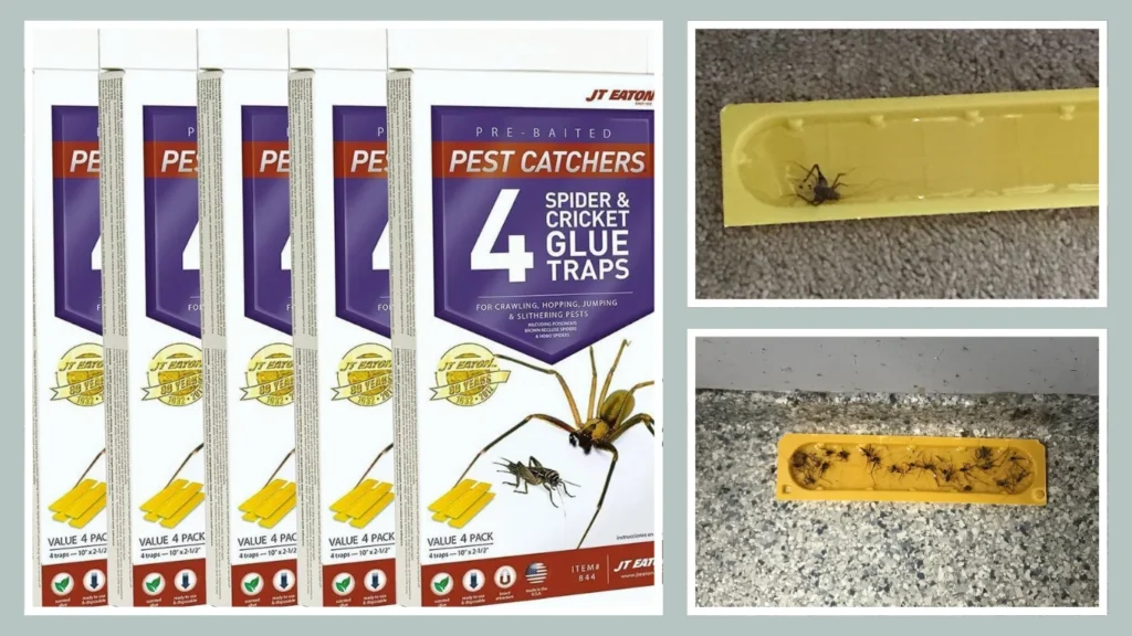 Eaton Spider & Cricket Indoor Trap – White Cardboard Boards