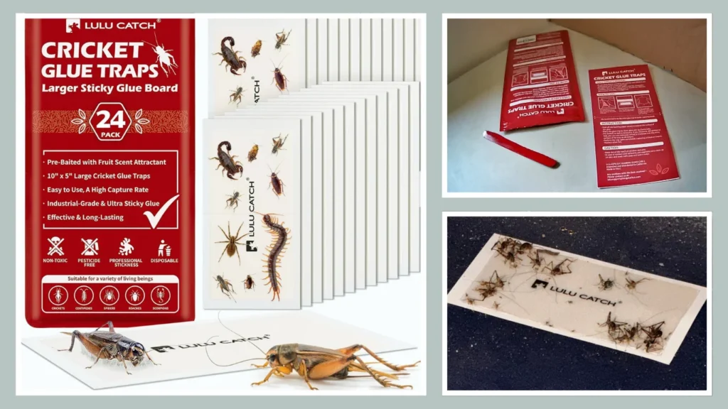 LULUCATCH Pre‑Baited Adhesive Trap (Scorpion & Spider Specialty)