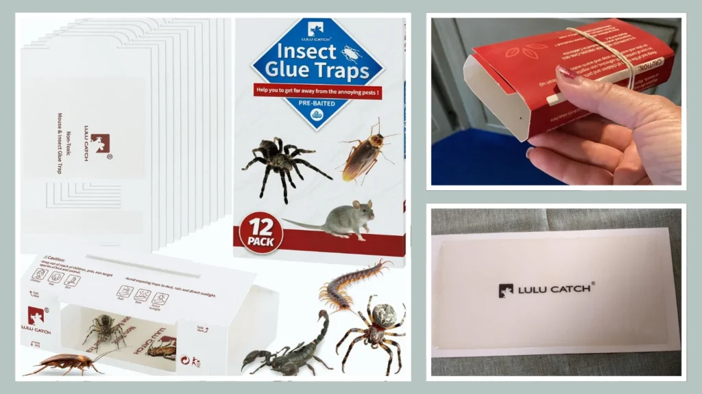 LULUCATCH Pre‑baited Trap for Spiders, Roaches & Centipedes