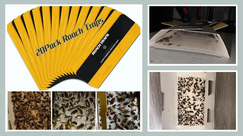 Roach & Cockroach Indoor Glue Traps (Bulk Pack)