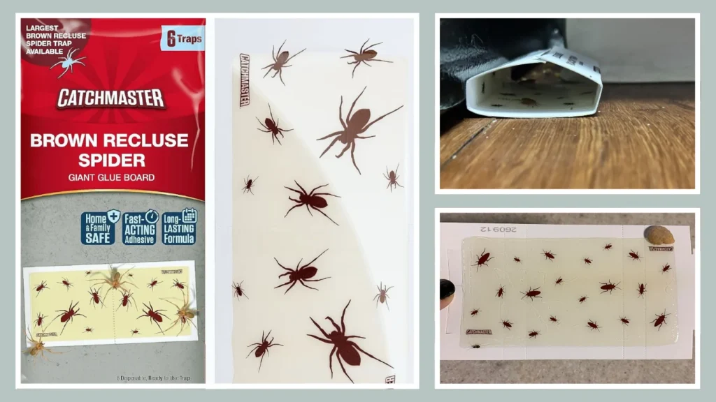 Spider Traps Glue Traps – Bulk Pack