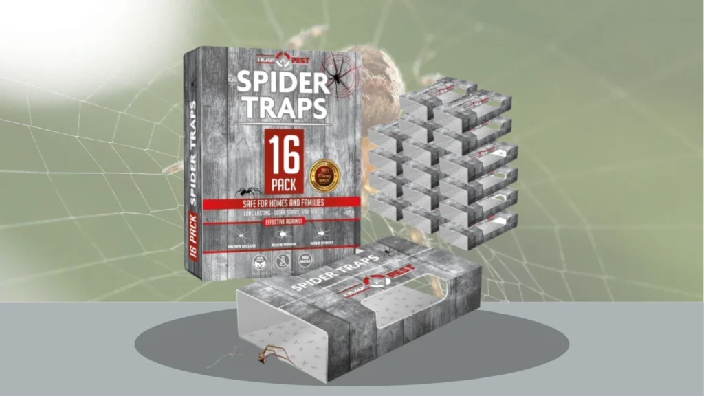 Spider Traps “Inside Your Home” – Super-Flat Glue Traps (Pack of 10)