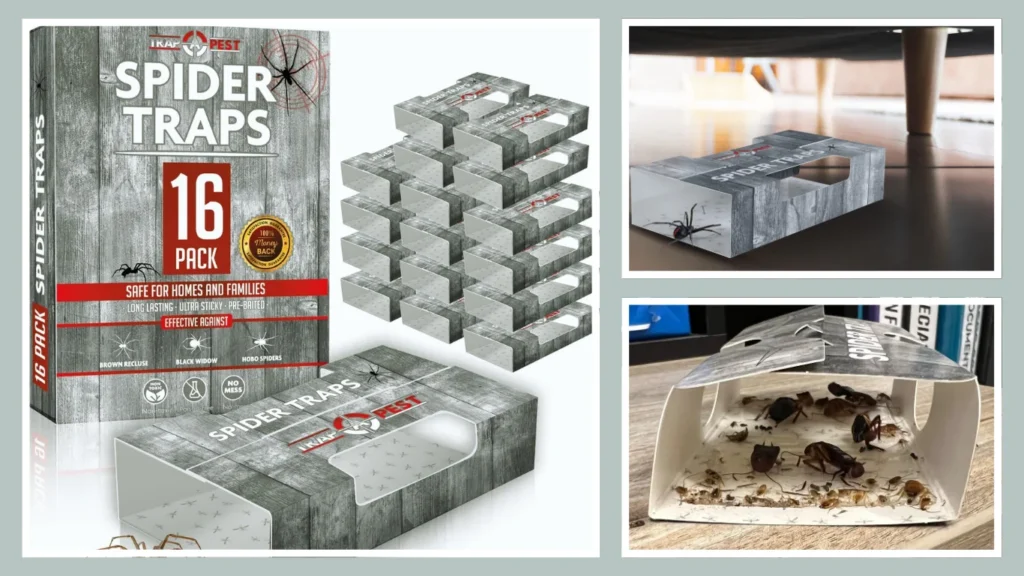 Spider Traps – Ultra-Sticky Indoor Glue Boards (Bulk Pack)