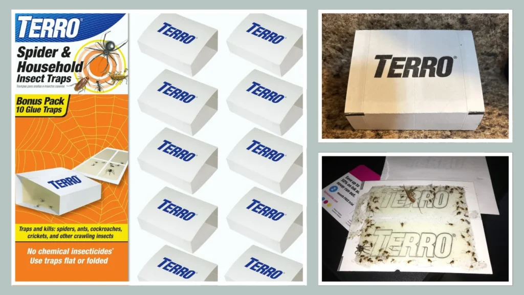 TERRO Spider & Insect Trap (T3206, 4‑Count)