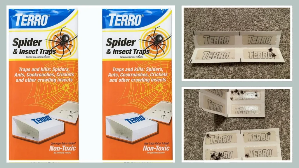 TERRO Spider & Insect Trap – 2‑Pack (T3200)
