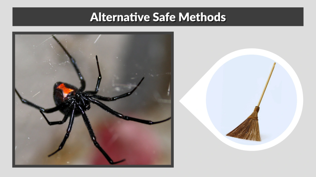 Alternative Safe Methods