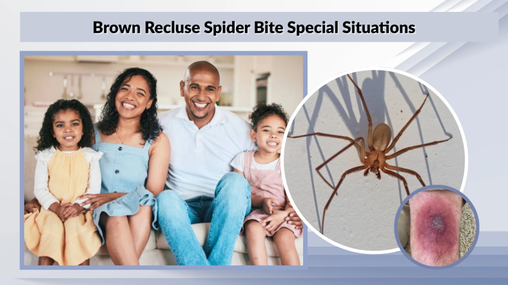 Brown Recluse Spider Bite Special Situations