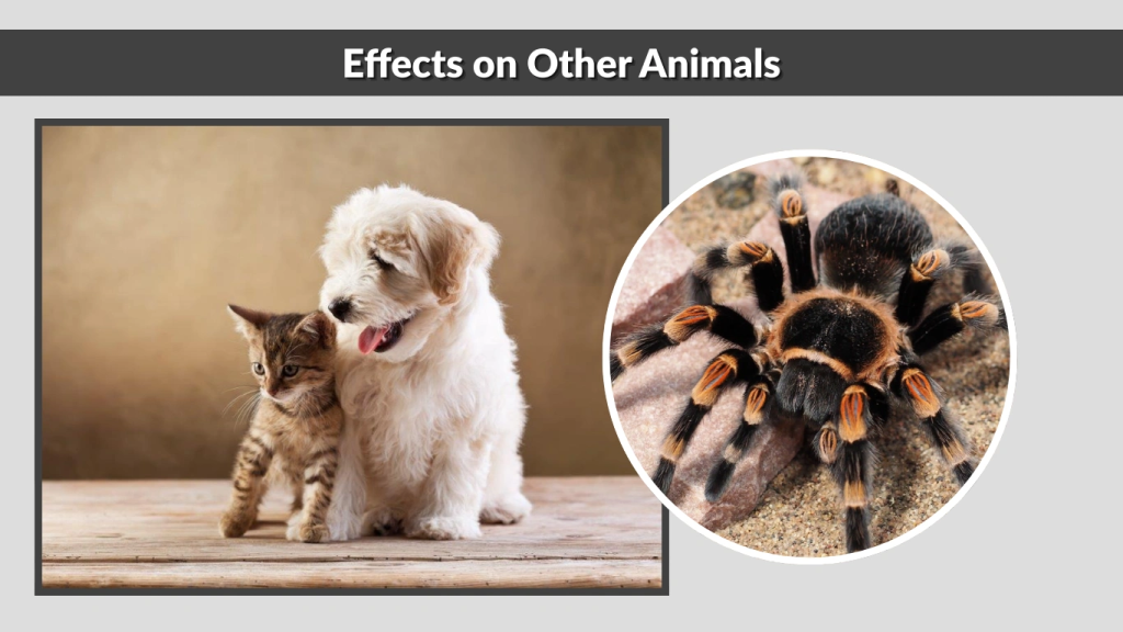 Effects on Other Animals