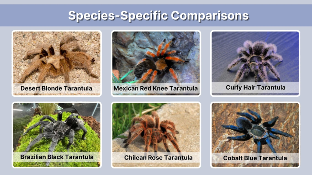 Species-Specific Comparisons
