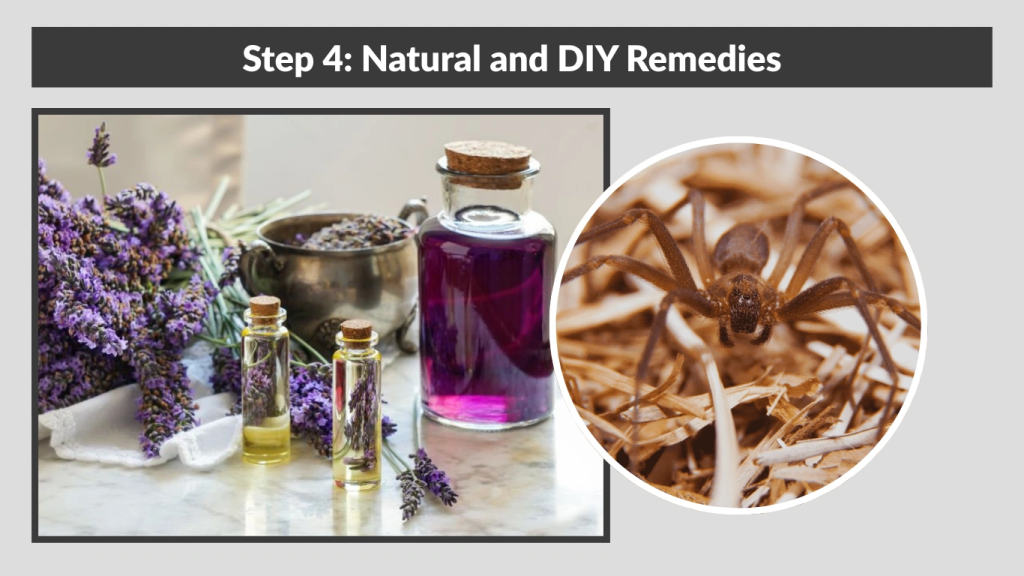 Step 4 Natural and DIY Remedies