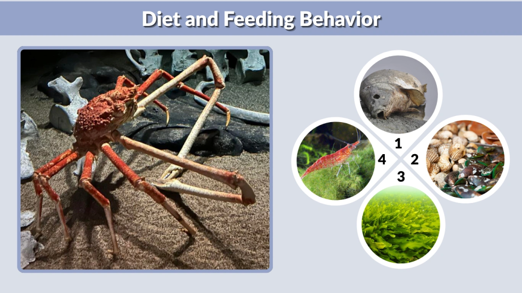 Diet and Feeding Behavior