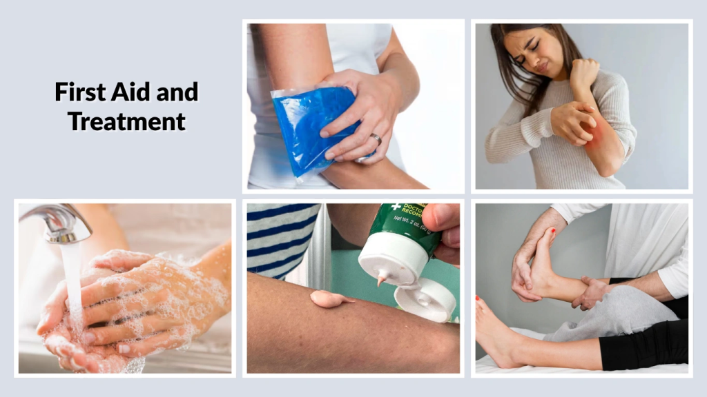 First Aid and Treatment