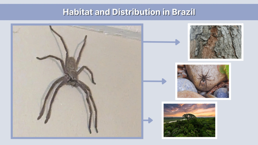 Habitat and Distribution in Brazil