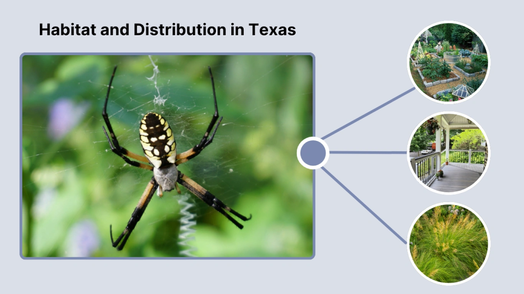 Habitat and Distribution in Texas