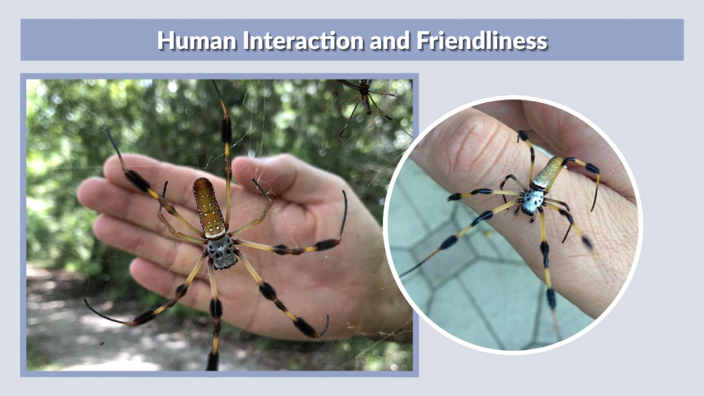 Human Interaction and Friendliness