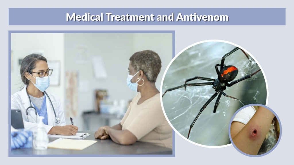 Medical Treatment and Antivenom