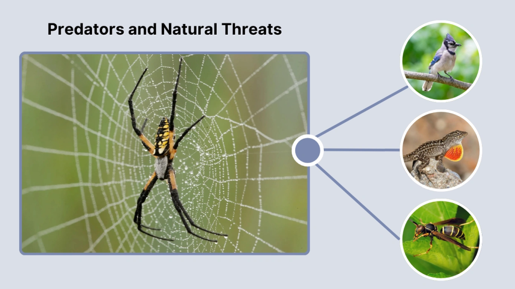 Predators and Natural Threats