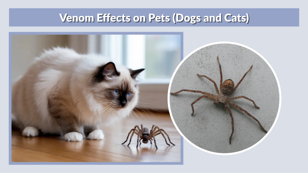 Venom Effects on Pets (Dogs and Cats)