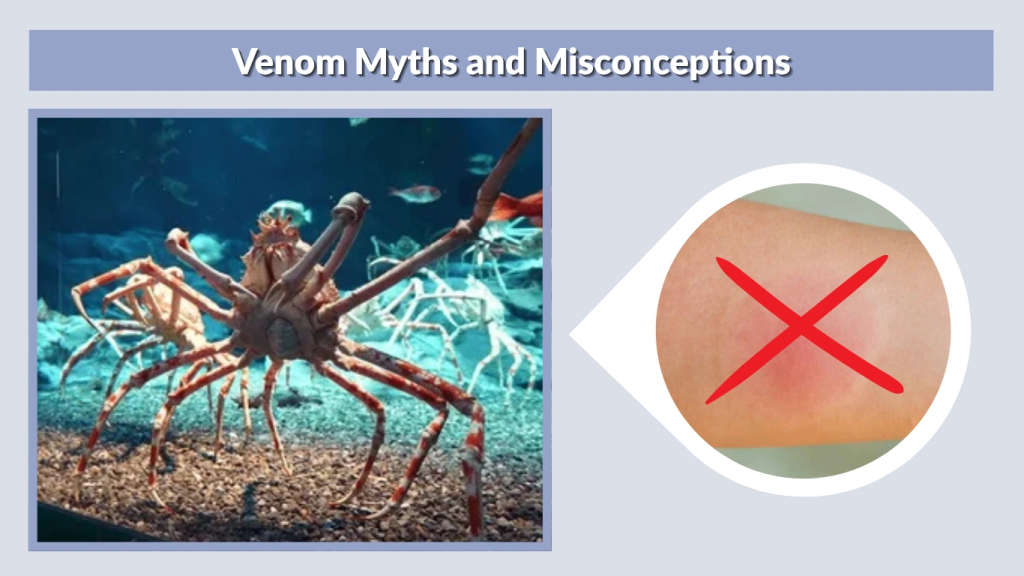 Venom Myths and Misconceptions