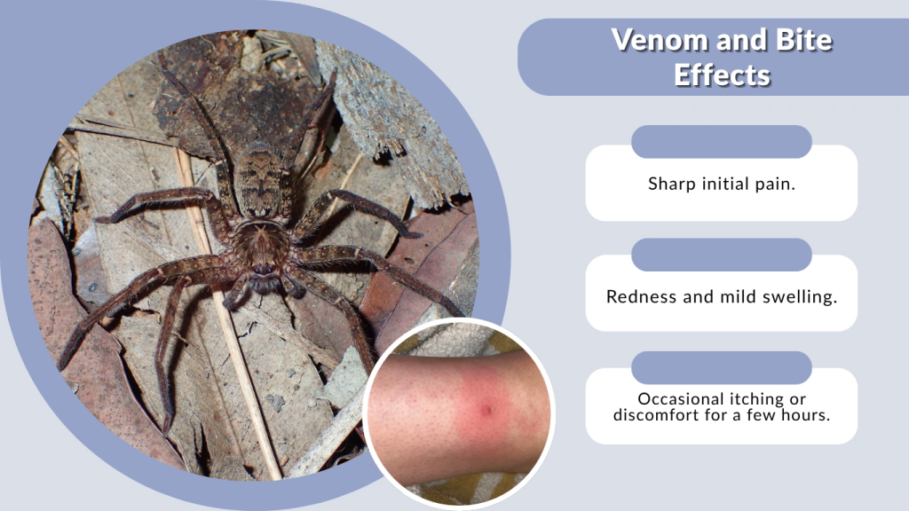 Venom and Bite Effects