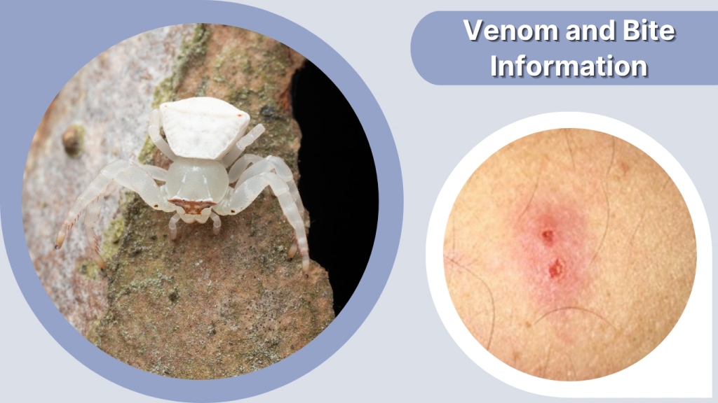 Venom and Bite Information