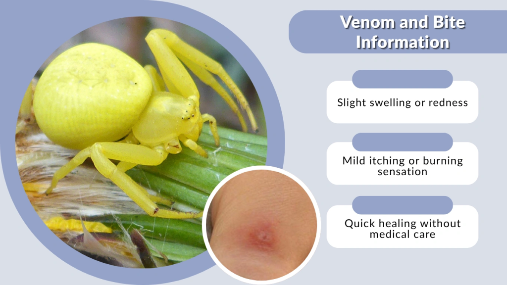 Venom and Bite Information