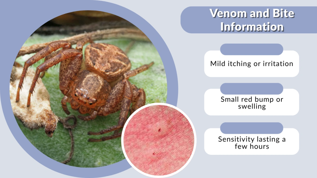 Venom and Bite Information