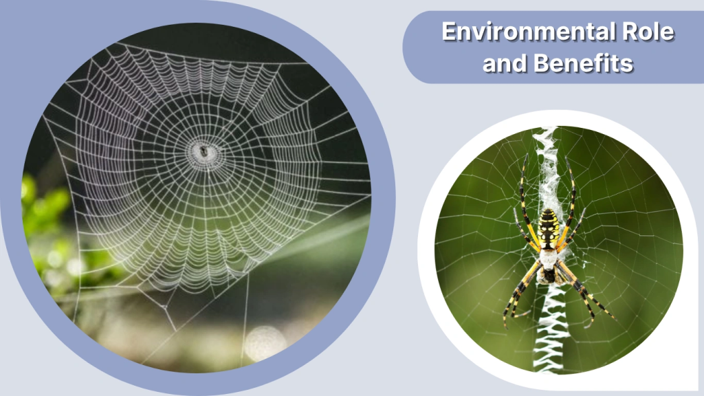Environmental Role and Benefits