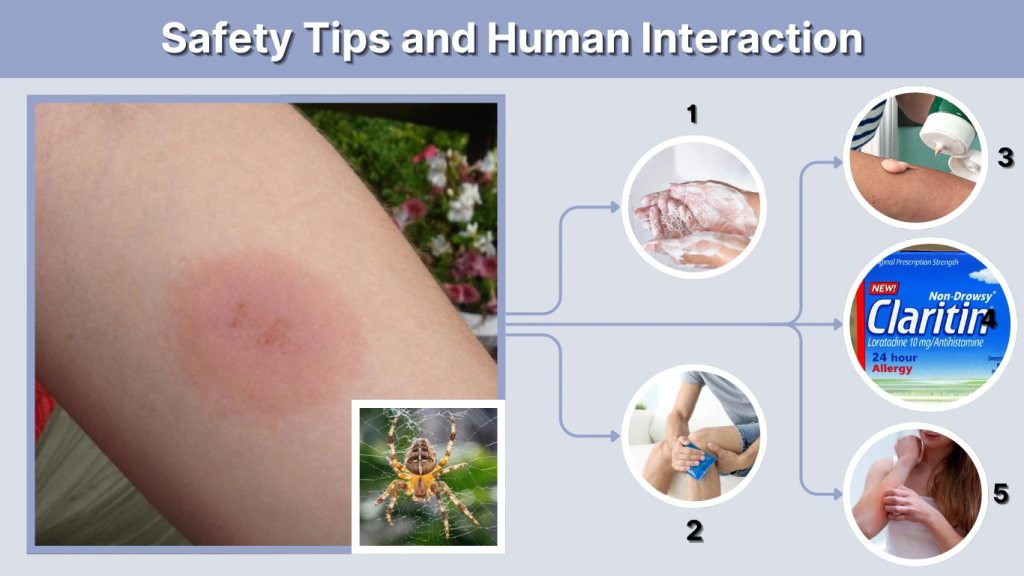 Safety Tips and Human Interaction