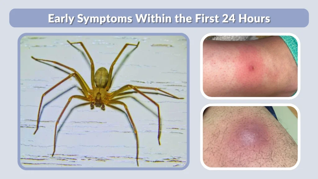 Early Symptoms Within the First 24 Hours