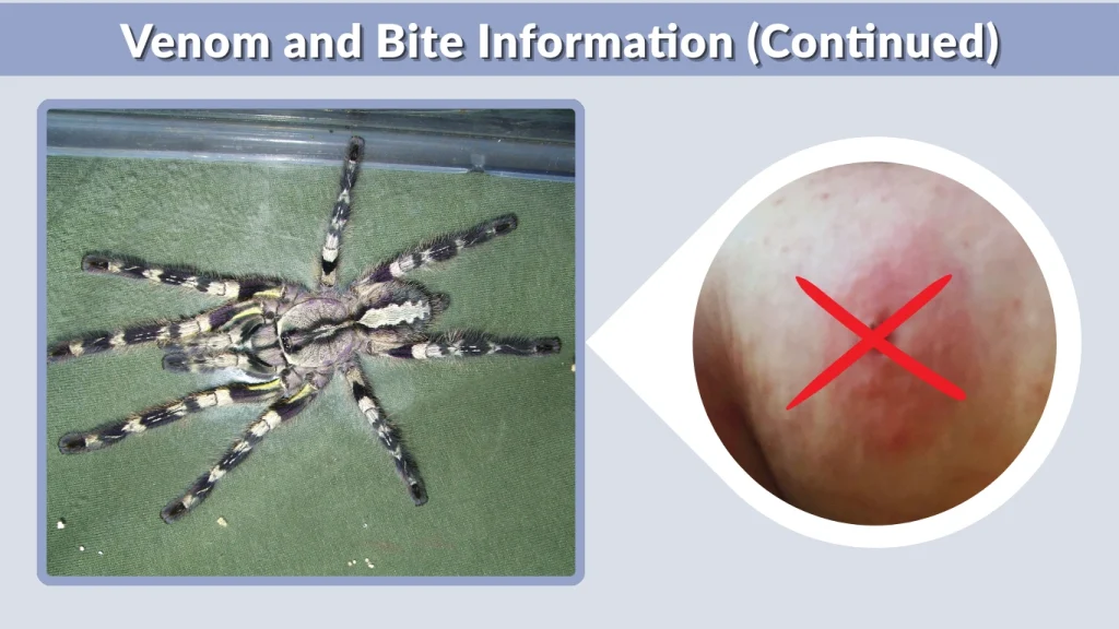 Venom and Bite Information (Continued)