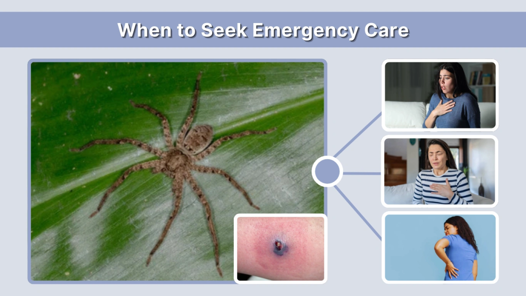 When to Seek Emergency Care