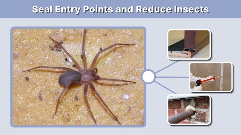 Seal Entry Points and Reduce Insects